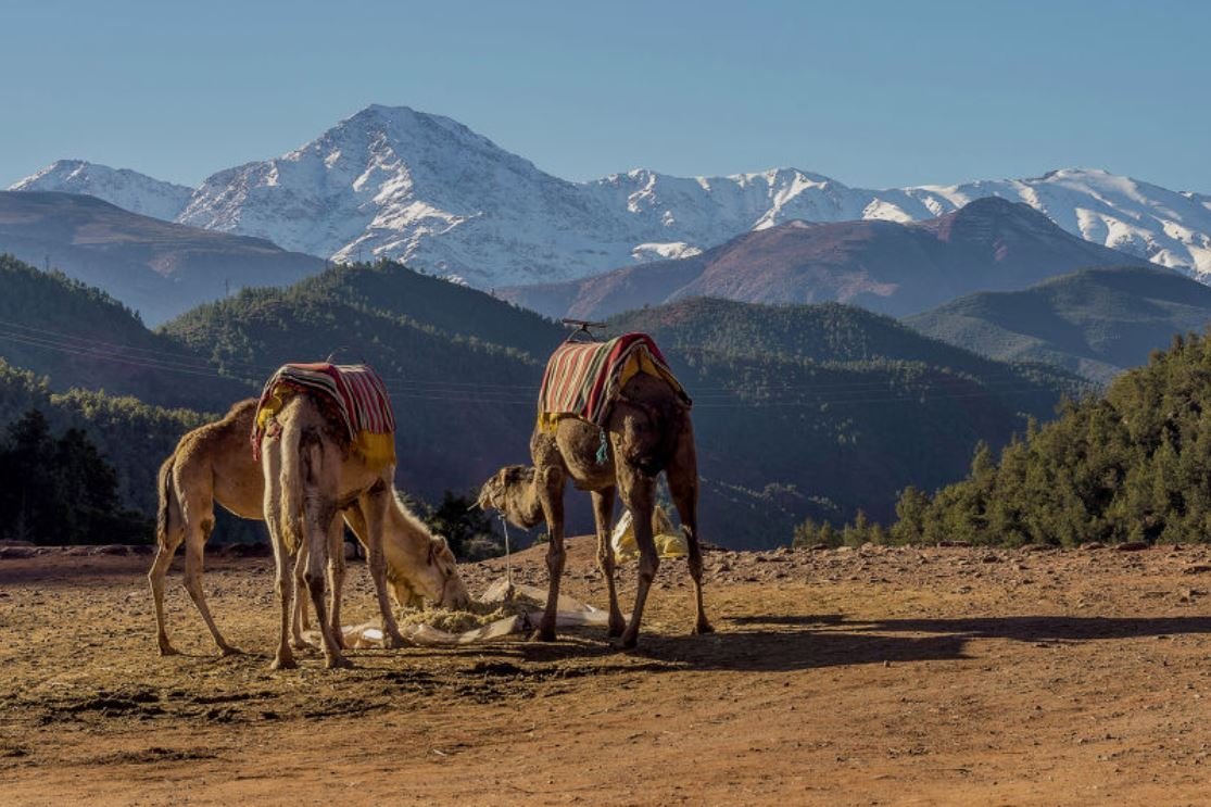 Day One: Departure from Marrakech and Atlas Mountain Crossing