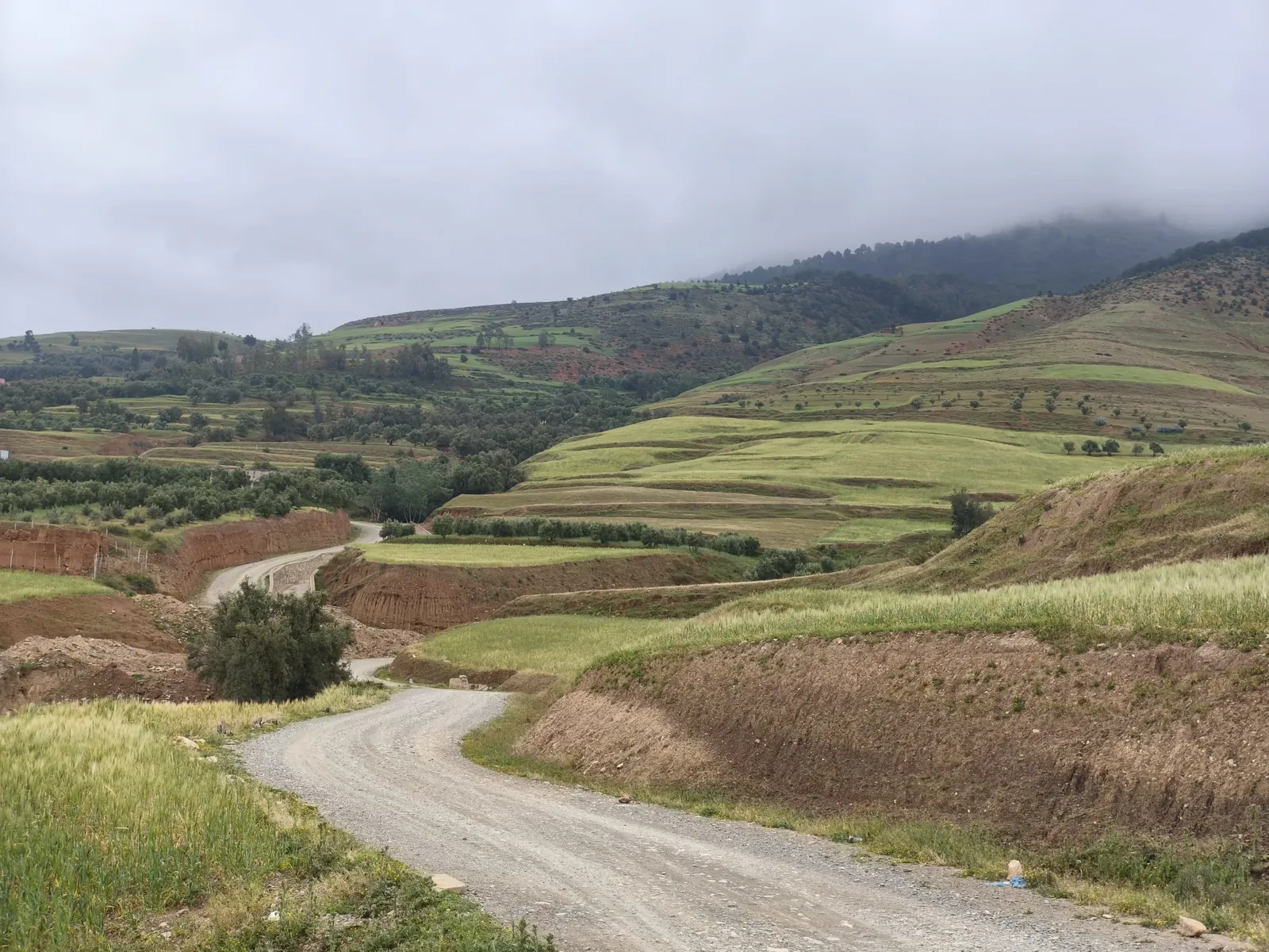 A Day in Amizmiz with Hassan