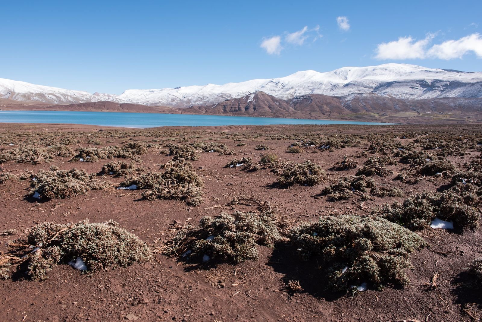 Unveiling a Mountain Paradise: Why Imilchil Should Be Your Next Adventure