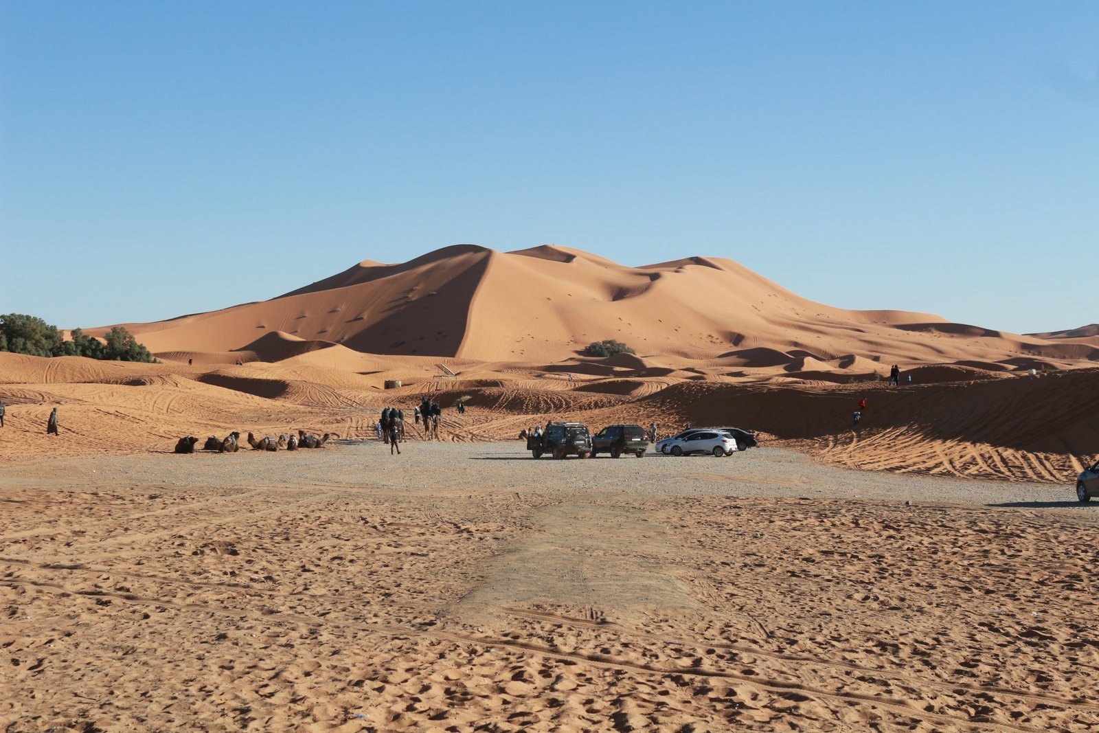 Reaching the Sahara: Merzouga and Desert Life