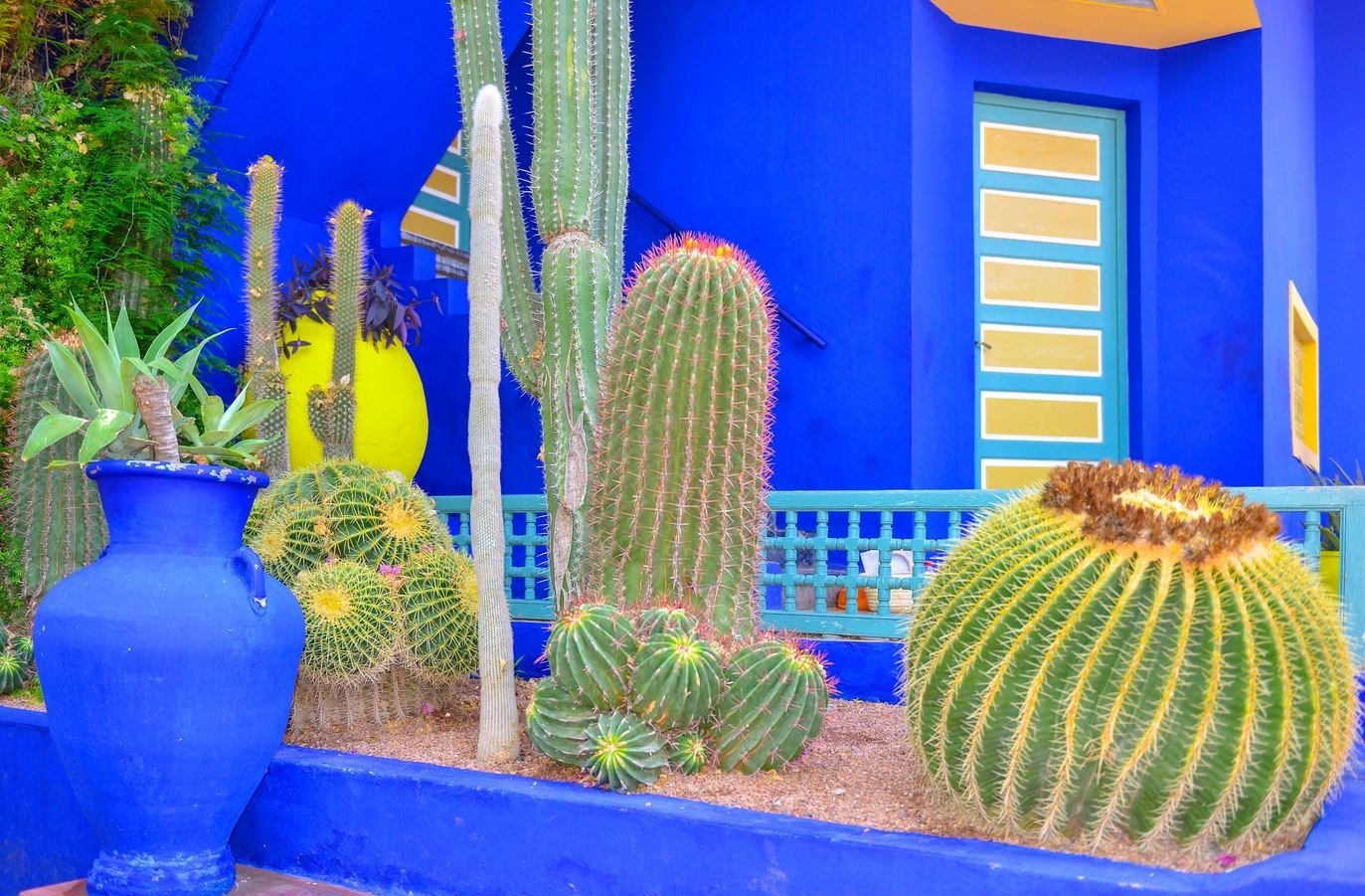 Jardin Majorelle Jardin Majorelle: A Classic Beauty