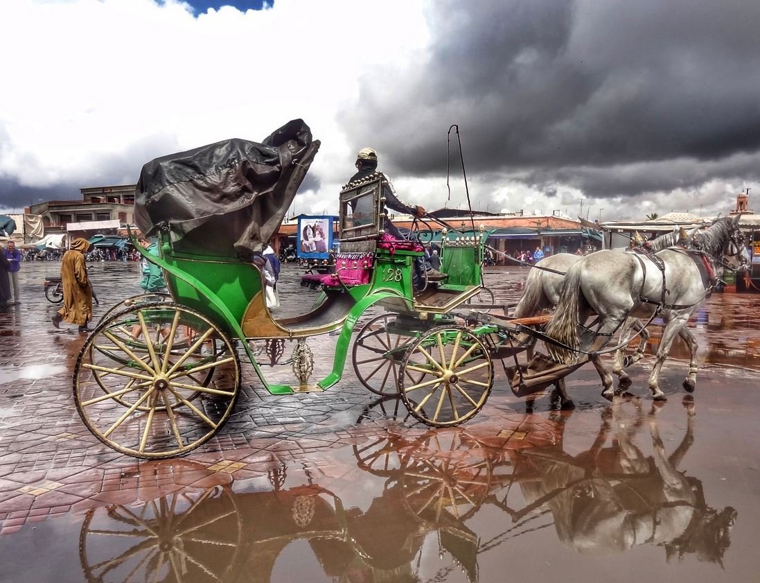 hose12 3. Take a Traditional Horse Carriage Ride