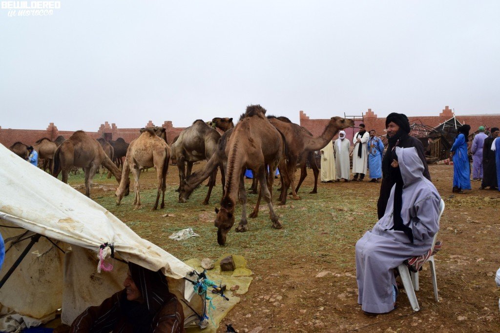 camel market on Saturday in Gulmim