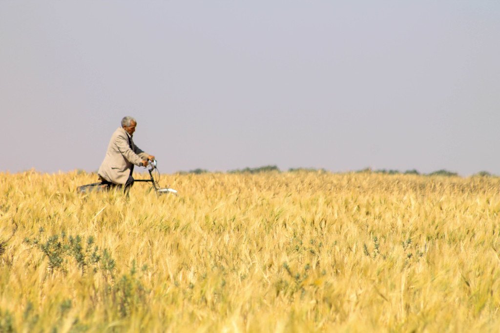 starry sky pro photoshop zoner boner toubkal atlas mountains errihani anass yakine yanikes tour de maroc au pied africa african nikon d6 canon lens objectif walid bendra karim achalhi abdelhamid belhamidi road trip off maroc maroko coast tent berber bivouac old man and sea