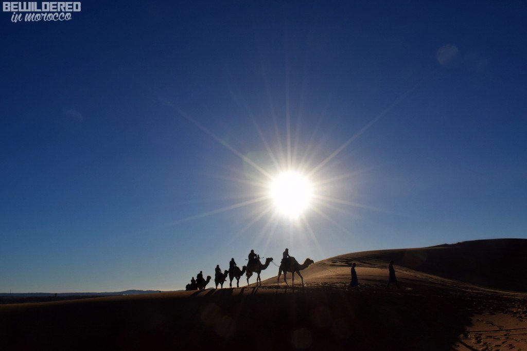 sundunes experience sunset desert sahara camel trek cheap trip american expat in morocco guide cheating rip off money prostitution child abuse cute girl beautiful arab animal palm walk blogger what anna wears outfit paula jagodzinska gym hero hollycow travelling travelette klub polek bewildered in morocco 