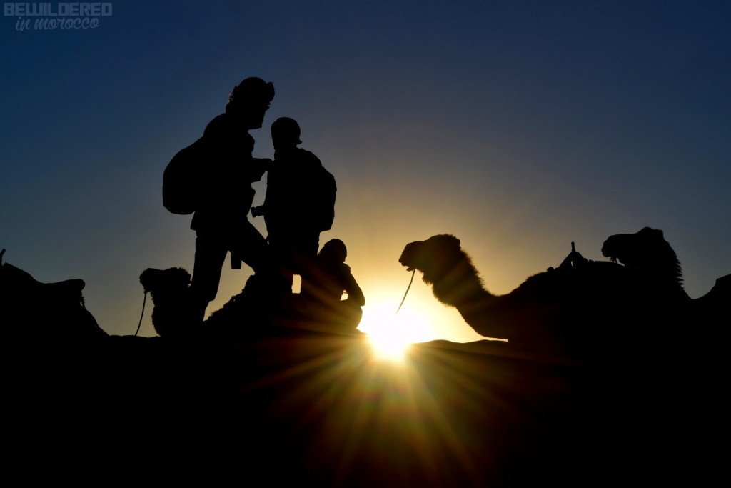 sundunes experience sunset desert sahara camel trek cheap trip american expat in morocco guide cheating rip off money prostitution child abuse cute girl beautiful arab animal palm walk blogger what anna wears outfit paula jagodzinska gym hero hollycow travelling travelette klub polek bewildered in morocco