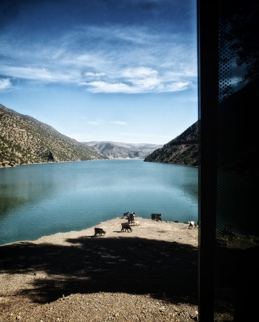 ouirgane marrakech morocco lake bin el ouidane carp fishing 