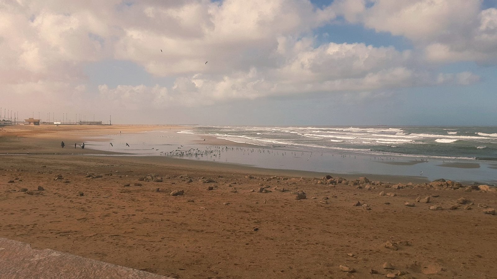 471160099_1136994048425791_1378347533259221234_n