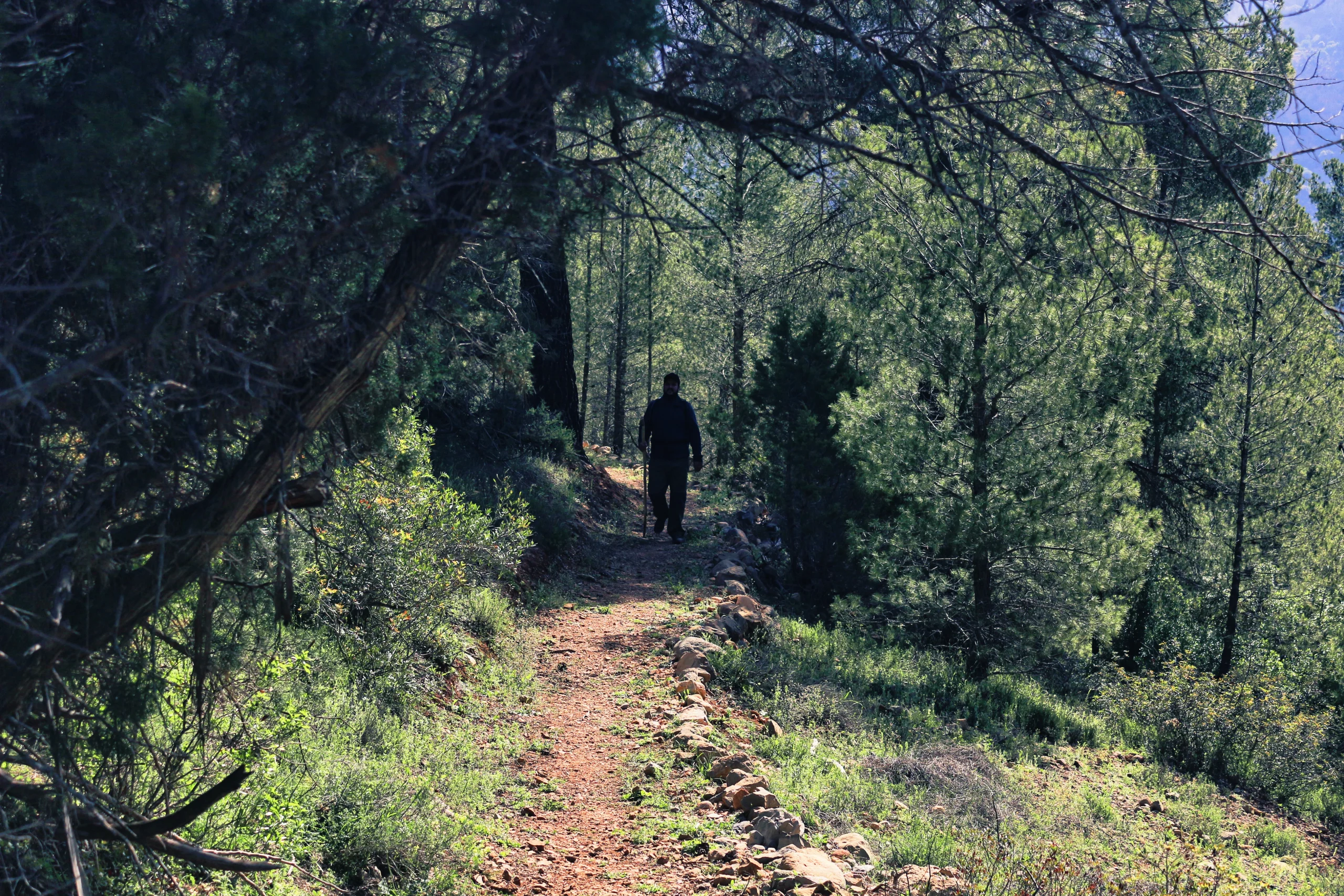 Walking Through Morocco with Hassan