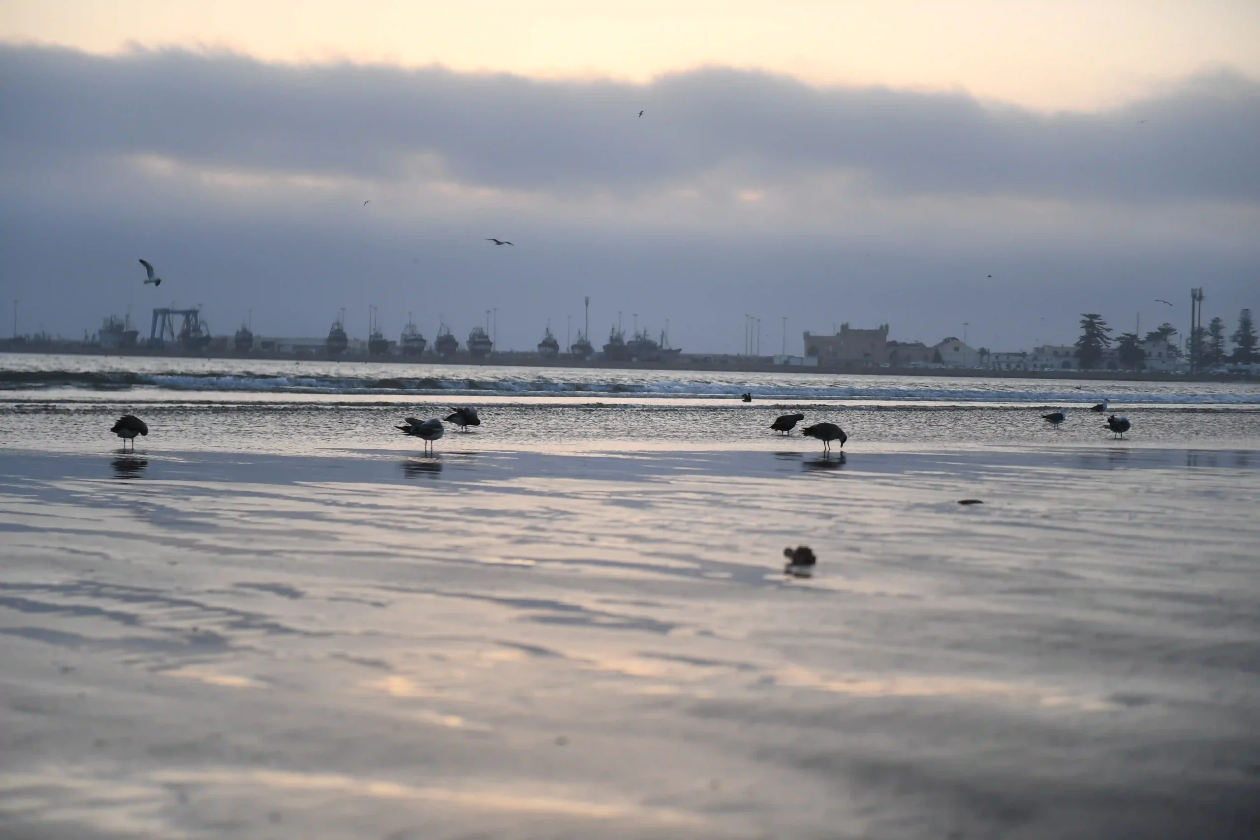 Essaouira photography guide