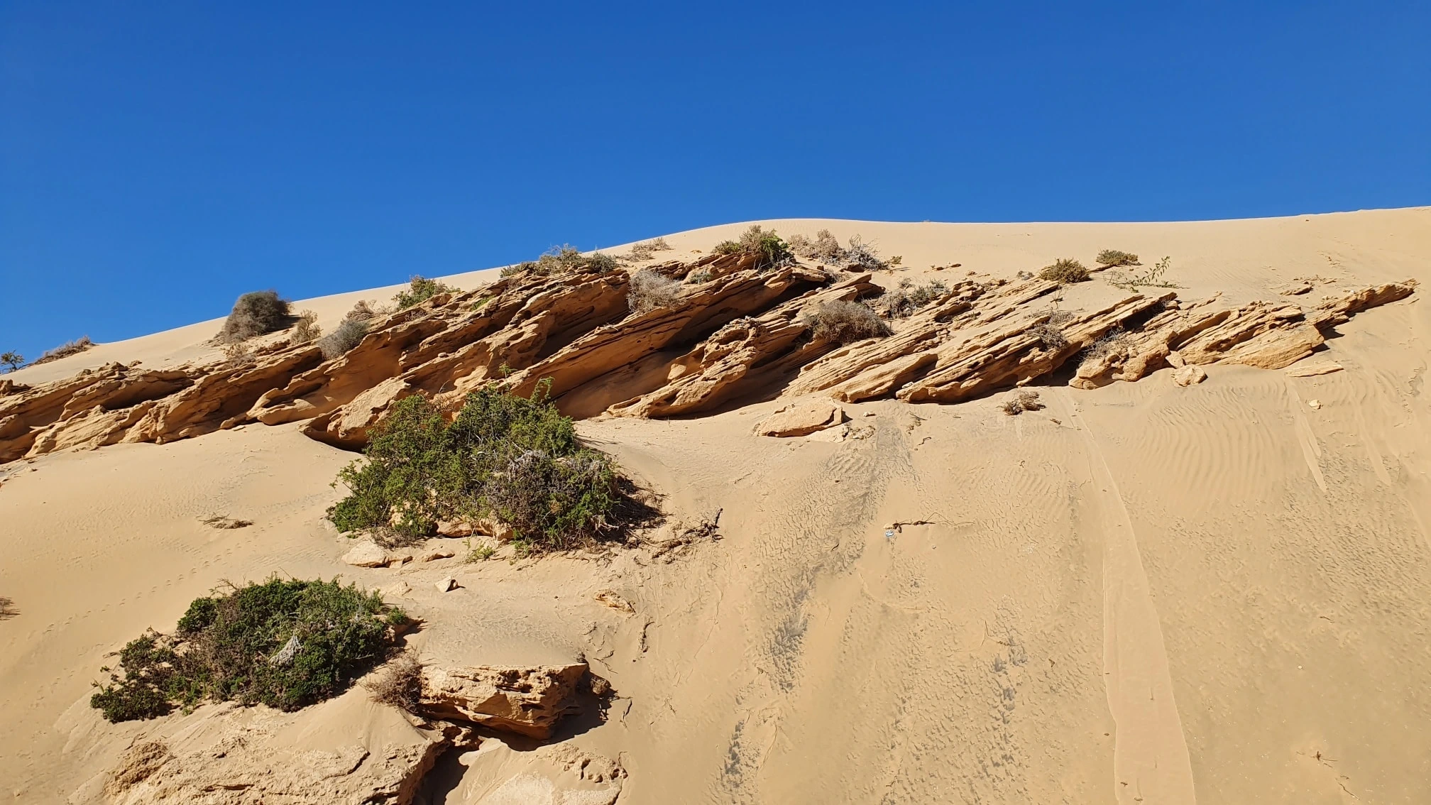 Timlaline Beach Morocco