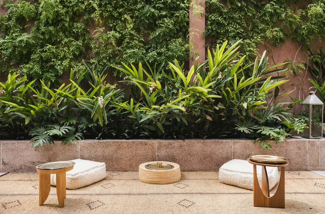 Maison Brummell Majorelle