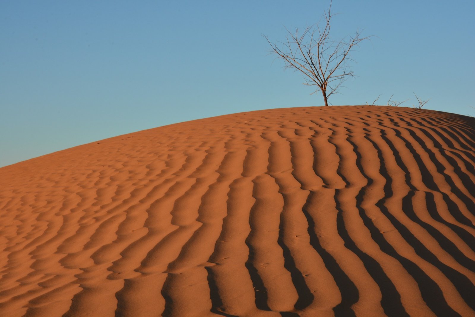 M'Hamid El Ghizlane 4