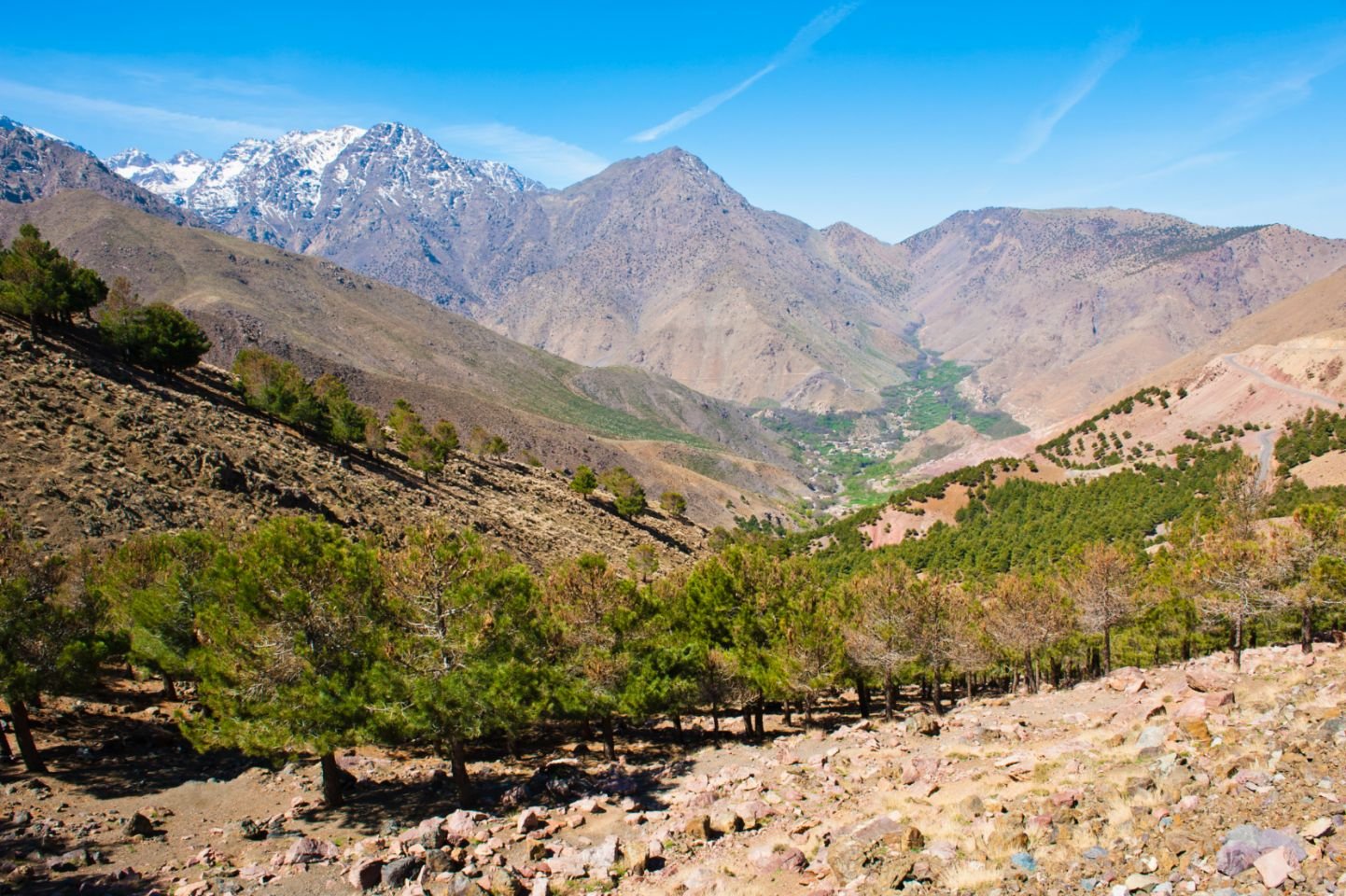 Tacheddirt 1 Have you ever wondered what it's like to stand on the roof of Morocco? Let me take you to Tacheddirt, a remote Berber village perched at 2314 meters in the High Atlas Mountains. This isn't your typical tourist stop—it's a place where mountain air feels crisp in your lungs, where traditional clay houses cling to steep valleys, and where the warmth of Berber hospitality makes every visitor feel at home.
Over the years, I've explored countless corners of Morocco, but Tacheddirt holds a special place in my heart. It's where modern life pauses, where ancient traditions breathe, and where every sunrise paints the snow-capped peaks in shades of gold and rose.
Why Tacheddirt Morocco Should Be On Your Travel List
A Village Above the Clouds
Tacheddirt sits in the Rhirhaia valley, about 4 kilometers upstream from Ikkiss, making it the highest settlement in this spectacular region. The village falls within the Marrakech-Safi region, near the commune of Asni, and serves as a gateway to Toubkal National Park—home to North Africa's highest peak, Jebel Toubkal.
What makes this village truly special isn't just its elevation. It's the way life unfolds here, unchanged by decades, where farming terraces cascade down mountainsides and where forests of birch, juniper, and saxifrage create a dramatic natural backdrop.
The Journey Matters
Getting to Tacheddirt is half the adventure. Most travelers start in Marrakech, and from there, the journey becomes a story worth telling.
From Marrakech to Imlil
Your first step takes you to Imlil, the bustling village known as the gateway to the High Atlas. Shared taxis run regularly from Marrakech to Imlil—a budget-friendly option where you'll share the ride with other travelers and locals. These taxis wait until they're full before departing, so bring a book or simply enjoy watching the plains gradually give way to mountain foothills. The journey takes about 1.5 to 2 hours, and the views get better with every kilometer.
The Trek from Imlil
Once you reach Imlil, the real adventure begins. There's no road for cars beyond this point—only footpaths that have been walked for centuries. The trek to Tacheddirt typically takes 2.5 to 4 hours, depending on your pace and how often you stop to catch your breath or snap photos (and trust me, you'll want to do both frequently).
The trail leads you eastward up the valley, passing through Tamatert and over a mountain pass. You'll walk along the south side of the valley until you reach a river ford that brings you into Tacheddirt proper. Along the way, you might see villagers collecting firewood or shepherds guiding their flocks—glimpses of a lifestyle that has sustained these mountain communities for generations.
What to Experience in Tacheddirt Morocco
Trekking Adventures
Tacheddirt serves as an excellent base camp for mountain exploration. Many trekkers spend a night or two here before pushing deeper into the High Atlas, but I recommend staying longer and using the village as your hub for day hikes. This approach lets you explore without the pressure of constant packing and unpacking.
Popular Routes:
The trek from Imlil to Tacheddirt makes for a relatively gentle introduction, with moderate elevation changes perfect for acclimatization. From Tacheddirt, you can continue eastward up the valley to Tizi n' Tacheddirt pass at 3230 meters—a challenging but rewarding climb.
For experienced hikers seeking serious adventure, the circular route through Ouka-Tacheddirt-Tim offers varied terrain and stunning vistas. The truly ambitious can tackle multi-summit routes, including peaks like Aneghmer (3920m), Taddat, Ayour, and Bouiguenouane.
Each trail reveals different facets of the High Atlas—from gentle valleys dotted with wildflowers to rugged ridges where snow lingers into late spring.
Living Berber Culture
Beyond the hiking, Tacheddirt offers something increasingly rare: authentic cultural immersion. The villagers here maintain traditional ways of life, and they're remarkably welcoming to visitors who approach with respect and genuine interest.
Staying in a local guesthouse like Tigmi Tachddirt means experiencing Berber hospitality firsthand. You'll sleep in traditionally decorated rooms, eat homemade meals prepared with local ingredients, and probably find yourself invited to share mint tea—Morocco's universal symbol of welcome and friendship.
The tea ceremony itself is worth experiencing. Watch as your host pours from height, creating a frothy layer that signals proper preparation. The first glass is often strong, the second sweeter, and the third smoother still. Each cup tells a story of patience and tradition.
The village economy relies mainly on subsistence farming and livestock. You'll see terraced fields carved into impossibly steep slopes, growing crops hardy enough to survive the altitude and temperature swings. Goats and sheep are everywhere, their bells creating a gentle soundtrack to mountain life.
Understanding Traditional Mountain Architecture
My background in construction has taught me to appreciate how buildings respond to their environment, and Tacheddirt's traditional houses are masterclasses in climate-appropriate design.
The thick walls and small windows aren't arbitrary choices—they're intelligent responses to harsh mountain conditions. Those thick walls, built from local stone and clay, insulate interiors against summer heat and winter cold. Small windows minimize heat loss while still allowing light inside.
The natural materials blend seamlessly with the landscape, making the village look almost like a natural extension of the mountainside. This sustainable building practice, refined over centuries, shows deep understanding of local climate and available resources.
Practical Information for Your Visit
Best Time to Visit
Spring (April-May) and autumn (September-October) offer the most pleasant trekking conditions, with mild temperatures and stable weather. Summer months (June-August) bring warmth ideal for higher-altitude exploration, though afternoons can get hot at lower elevations.
Winter (November-March) transforms Tacheddirt into a snowy wonderland, but this season requires specialized gear and experience with winter mountain conditions. Snow can make trails challenging or impassable for inexperienced trekkers.
Do You Need a Guide?
While experienced mountain trekkers might manage shorter, well-marked trails independently, I strongly recommend hiring a local guide, especially for longer routes or if you're new to mountain trekking. Guides ensure your safety, share cultural insights you'd otherwise miss, and help you discover hidden spots off the main trails. Plus, hiring local guides directly supports the community.
Where to Stay
Accommodation in Tacheddirt means traditional guesthouses and mountain refuges, typically run by Berber families. These range from dormitory-style rooms to private quarters, all offering authentic experiences. Expect comfortable beds, hot meals, and genuinely warm hospitality. Don't expect luxury hotels—the real luxury here is simplicity and connection to place.
What to Pack
Essential items include:
Sturdy hiking boots (broken in before your trip!)
Layered clothing (temperatures swing dramatically from day to night)
Sun protection: hat, sunglasses, high-SPF sunscreen
Refillable water bottle
Basic first-aid supplies
Any personal medications
Camera (you'll regret not bringing one)
Waterproof layers if visiting in shoulder seasons
Warm clothing for evenings year-round
Family-Friendly?
Tacheddirt can work for families who enjoy outdoor activities and don't mind basic accommodations. Shorter walks around the village offer cultural experiences without demanding fitness, though longer treks might challenge very young children. Assess your family's abilities honestly before committing.
Speaking the Language of Hospitality
You don't need to speak Arabic or Tamazight (the Berber language) to connect with people in Tacheddirt, but learning a few phrases shows respect and opens doors.
"Salam alaikum" (peace be upon you) is your universal greeting. Follow it with a smile, and you've made a friend. Moroccans, especially in close-knit mountain communities, respond warmly to visitors who make even small efforts to engage respectfully.
That smile and simple greeting can lead to shared meals, impromptu tea ceremonies, and conversations that transcend language barriers.
Why Tacheddirt Stays With You
Every time I return to Tacheddirt, I'm struck by how completely it contrasts with Morocco's bustling cities. There's no call to prayer from multiple mosques competing for airspace. No motorbikes weaving through crowded medinas. No merchants calling out to tourists.
Instead, there's the sound of wind through valley walls, the distant tinkling of goat bells, and the rush of mountain streams. There's the sight of first light touching the highest peaks while the valley still sleeps in shadow. There's the taste of fresh bread baked in a traditional oven, served with local honey and butter.
But what really stays with you is the people. The shepherd who stops to point out the trail. The grandmother who insists you take more tea. The children who wave shyly from doorways. These moments of human connection, set against one of nature's most spectacular backdrops, create memories that outlast any photograph.
Your Turn to Explore
Tacheddirt isn't easy to reach. It requires effort, a willingness to leave comfort zones, and an openness to experiencing Morocco at its most authentic. But if you're reading this, you're probably exactly the kind of traveler who'll appreciate what this village offers.
Have you visited remote mountain villages elsewhere in Morocco or in other countries? What made those experiences memorable for you? Are you planning a trek to Tacheddirt, or does this inspire you to add it to your Morocco bucket list?
Share your thoughts in the comments below—I'd love to hear about your mountain adventures or help answer any questions about planning your own journey to this spectacular corner of the High Atlas.