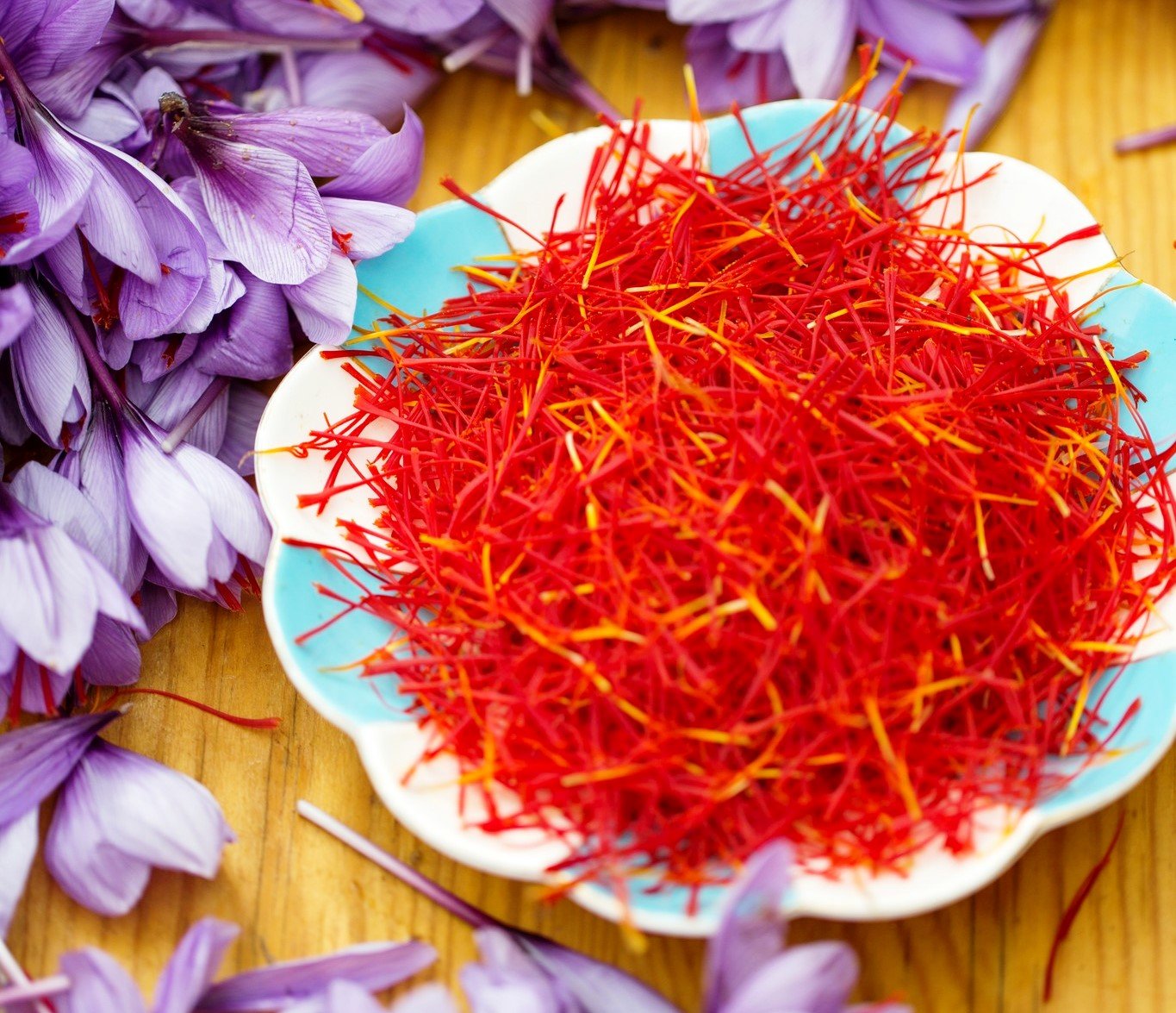 taliouine-2 taliouine